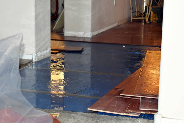 Professional Burst Pipe Cleanup technician working in Pompano Beach, FL